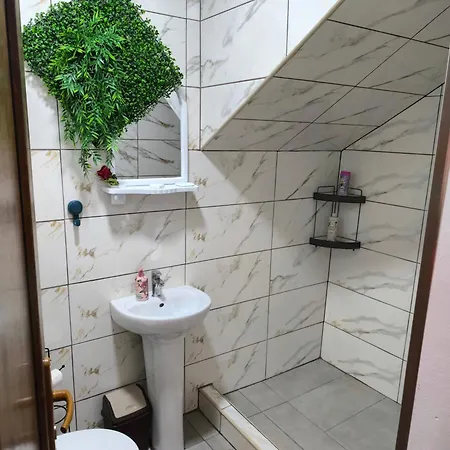 Apartment Dzena