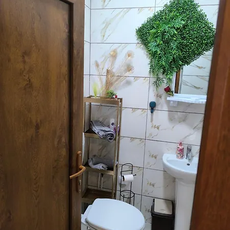 Dzena Tuzla